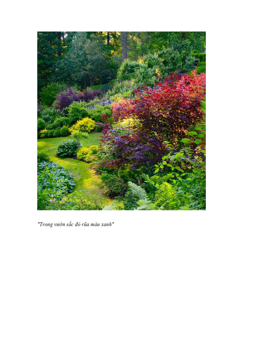 image for page Bộ sưu tập lối đi đẹp và phong cách cho khu vườn của bạn