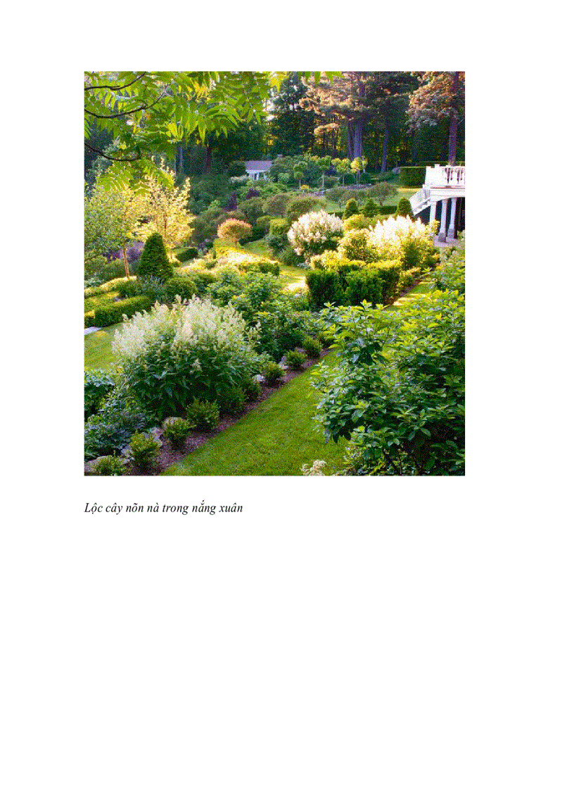 image for page Bộ sưu tập lối đi đẹp và phong cách cho khu vườn của bạn