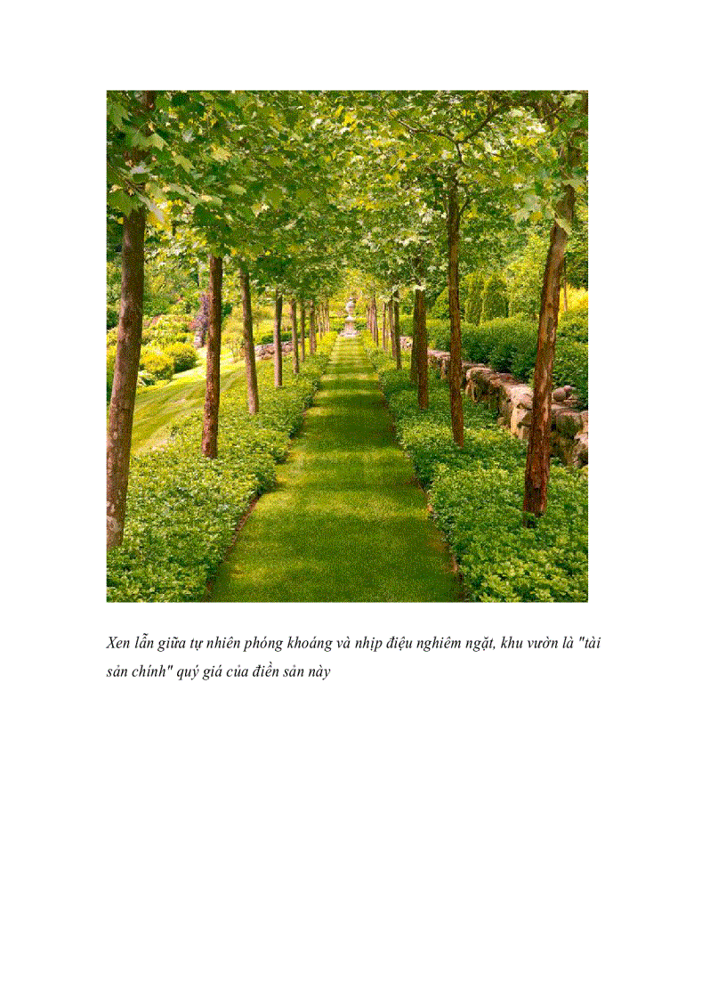 image for page Bộ sưu tập lối đi đẹp và phong cách cho khu vườn của bạn