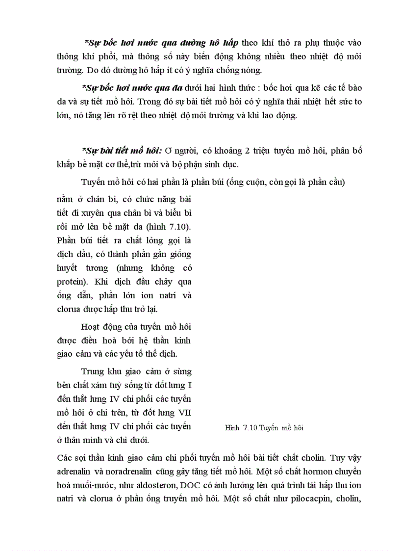 image for page Bài giảng điều hoà thân nhiệt