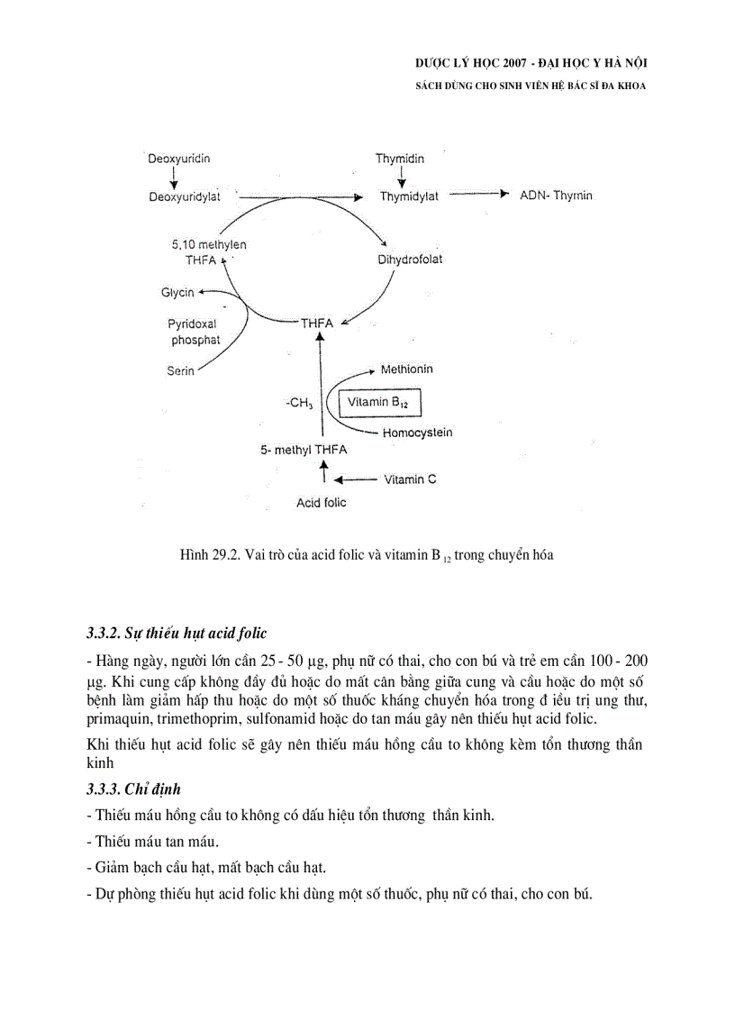 image for page Dược lý học thuốc điều trị thiếu máu