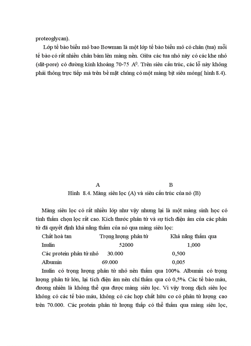 image for page Bài giảng Sinh lý Thận