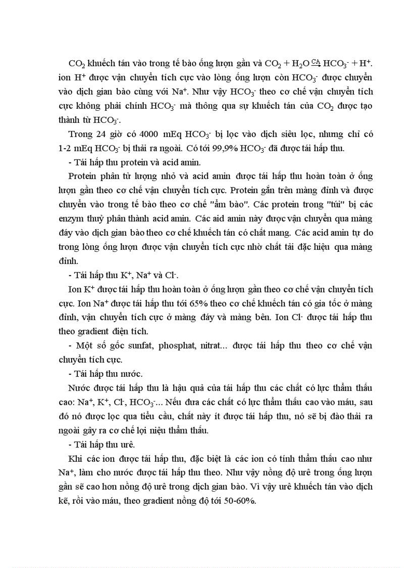 image for page Bài giảng Sinh lý Thận