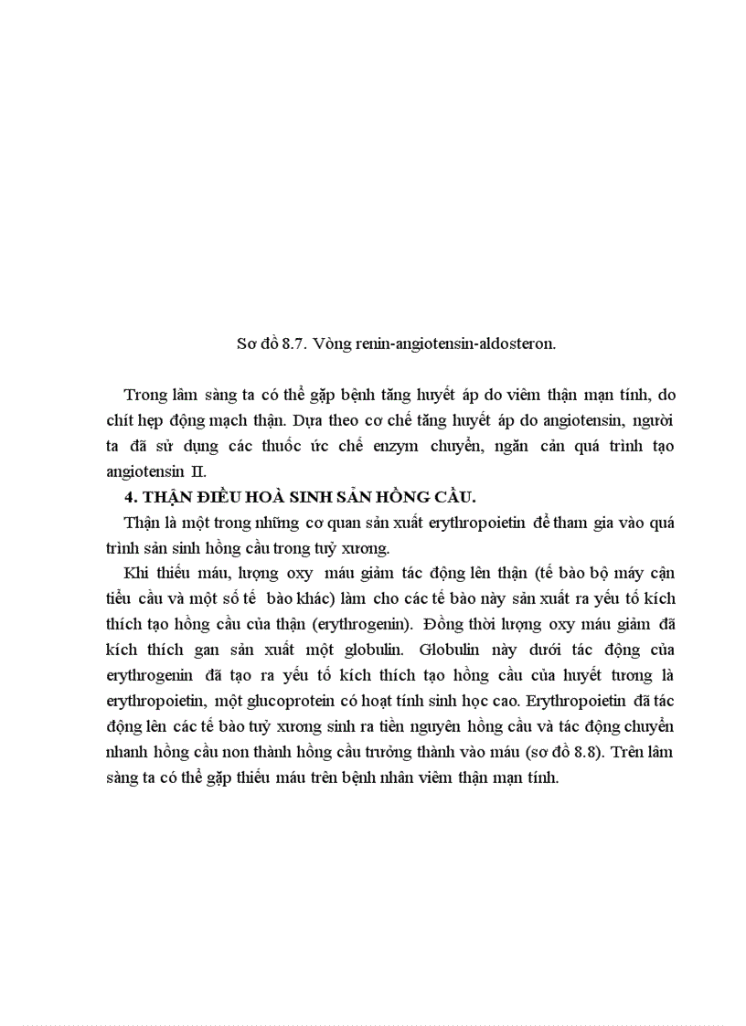 image for page Bài giảng Sinh lý Thận