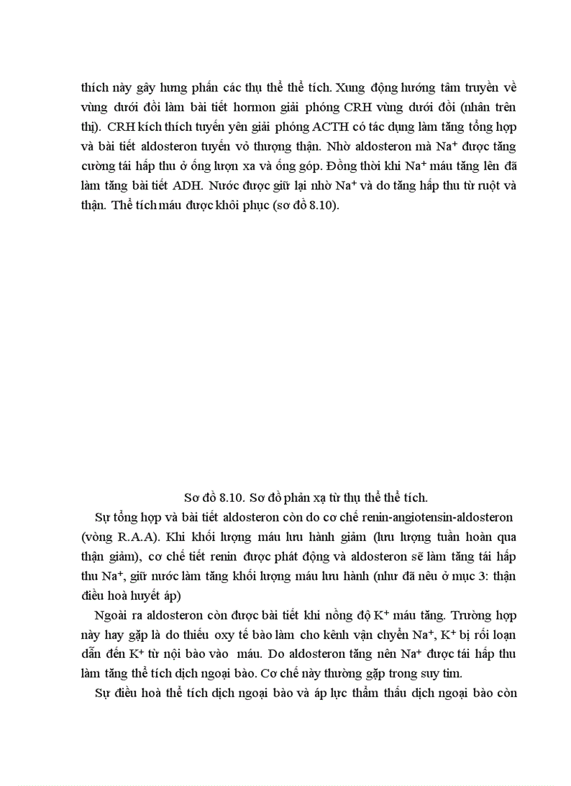 image for page Bài giảng Sinh lý Thận