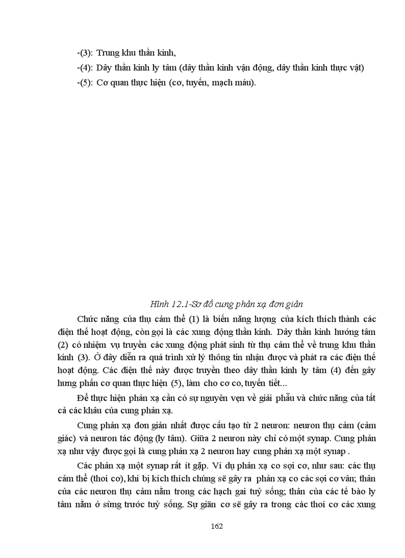 image for page Bài giảng sinh lý hệ thần kinh trung ương