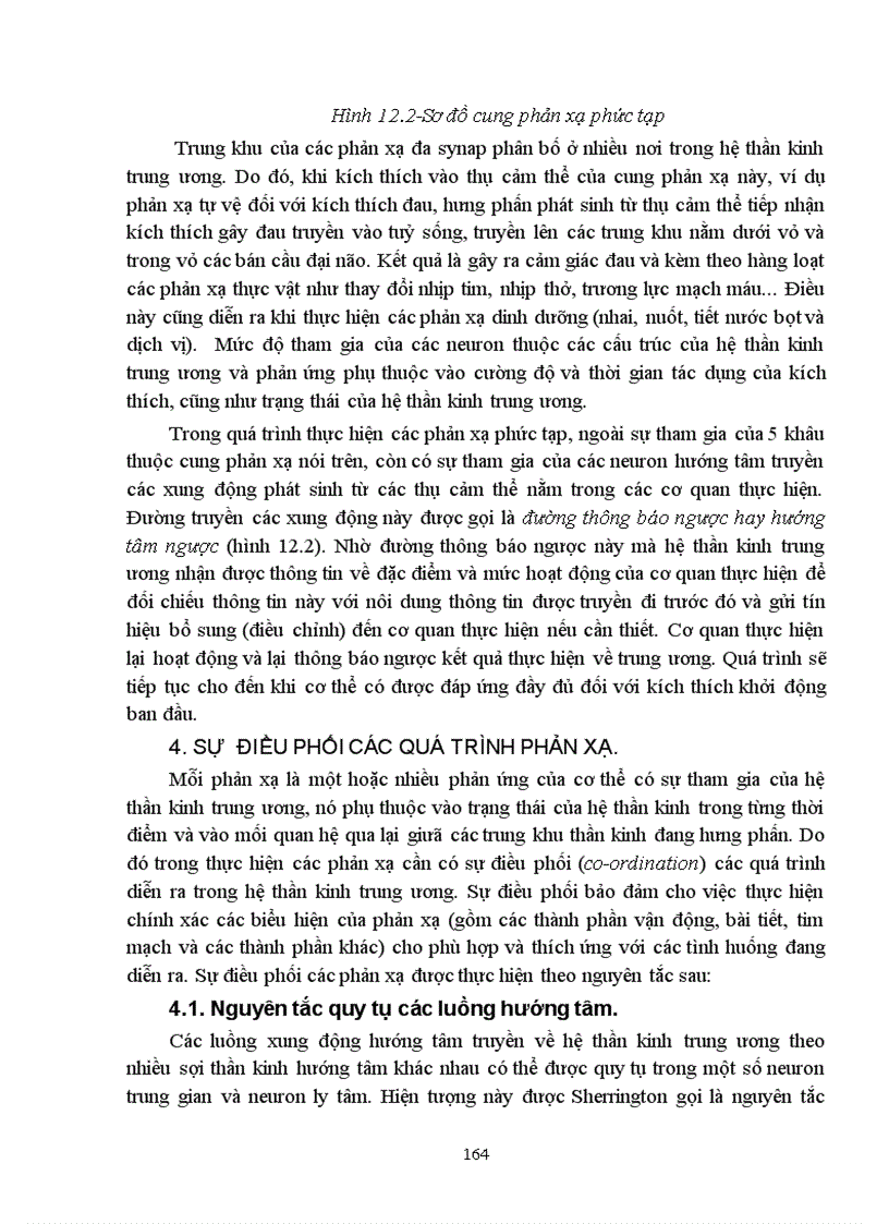 image for page Bài giảng sinh lý hệ thần kinh trung ương