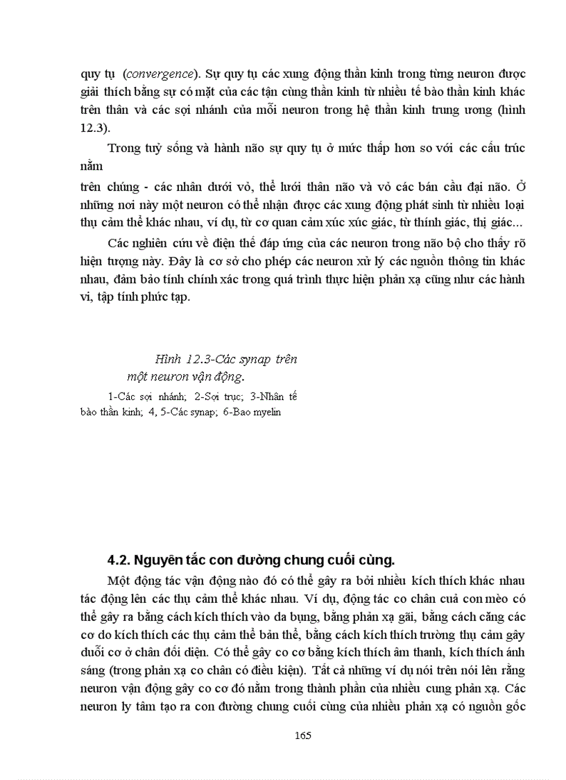 image for page Bài giảng sinh lý hệ thần kinh trung ương