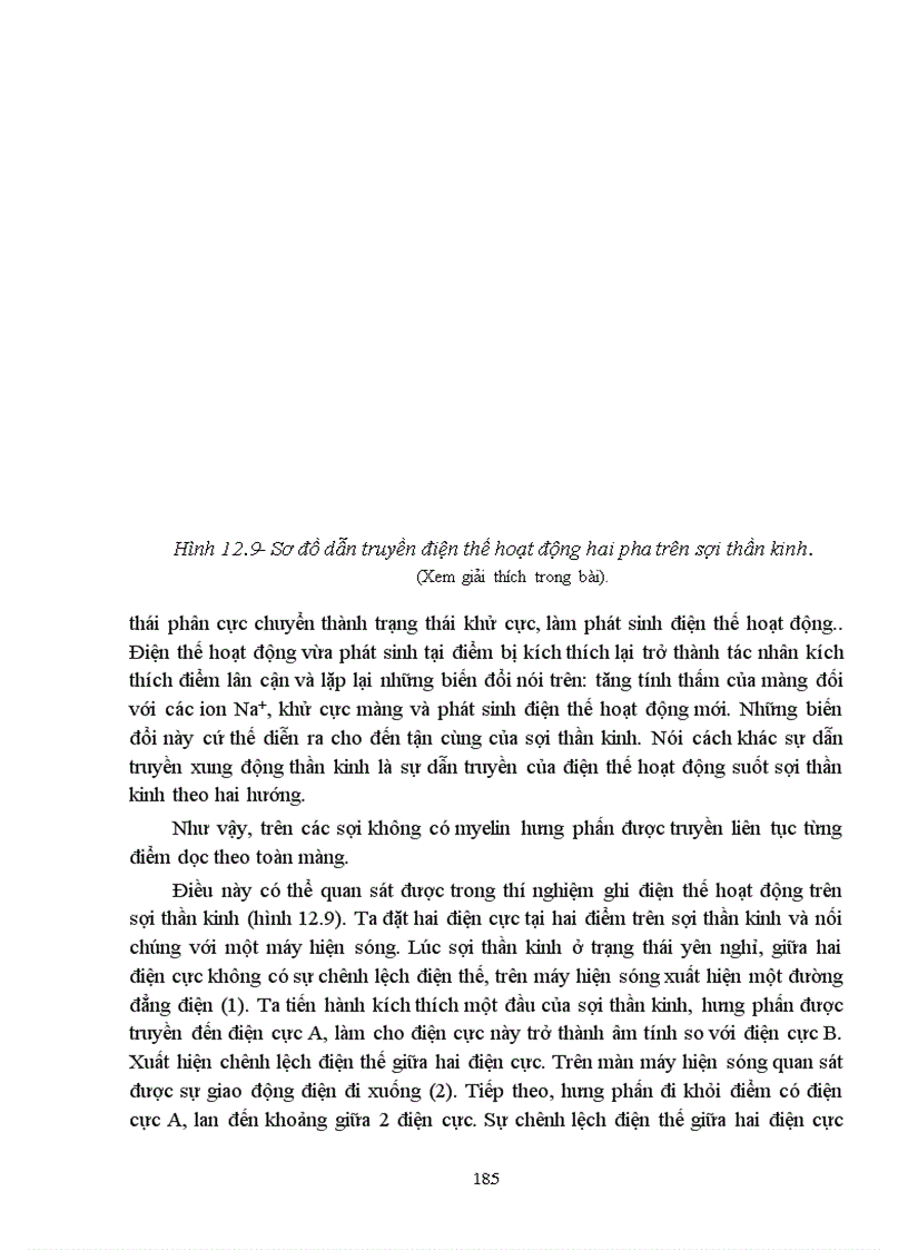 image for page Bài giảng sinh lý hệ thần kinh trung ương