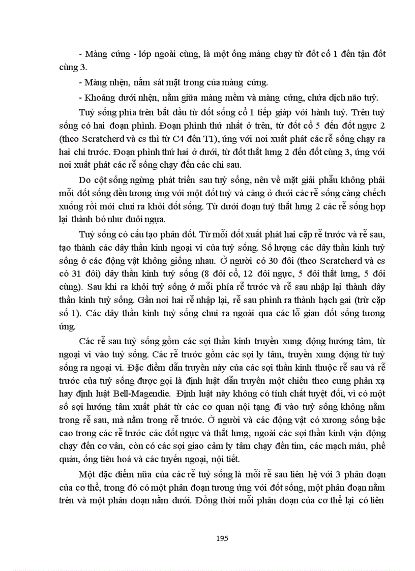 image for page Bài giảng sinh lý hệ thần kinh trung ương