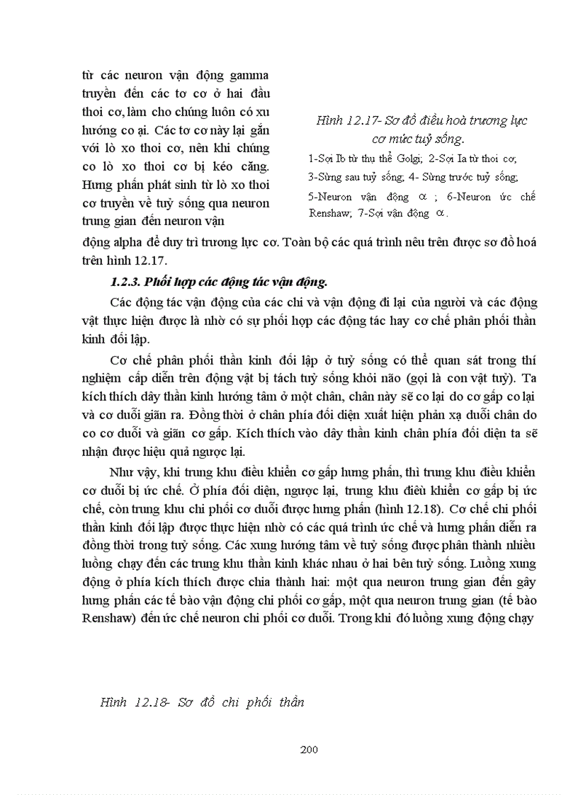 image for page Bài giảng sinh lý hệ thần kinh trung ương