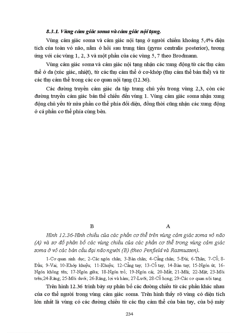 image for page Bài giảng sinh lý hệ thần kinh trung ương