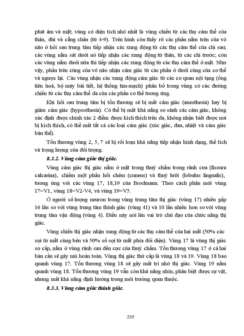 image for page Bài giảng sinh lý hệ thần kinh trung ương