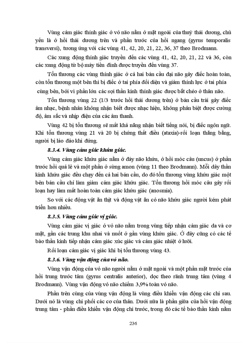 image for page Bài giảng sinh lý hệ thần kinh trung ương