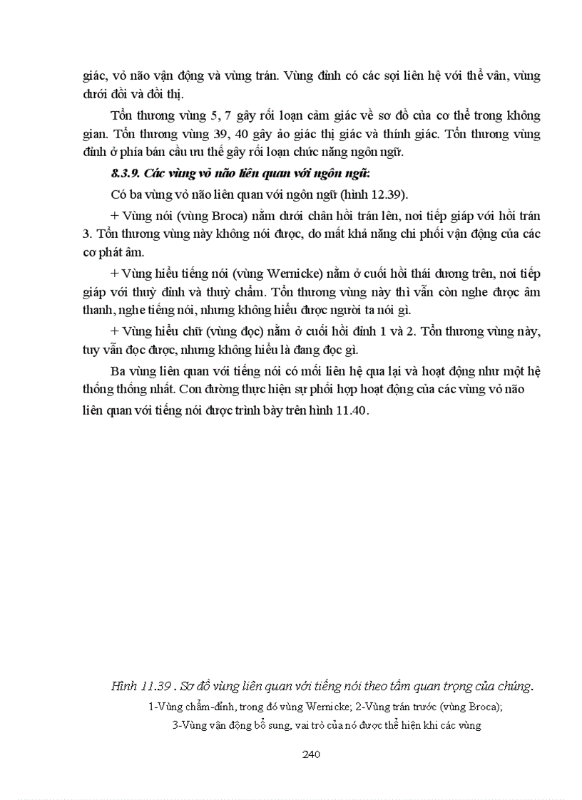 image for page Bài giảng sinh lý hệ thần kinh trung ương