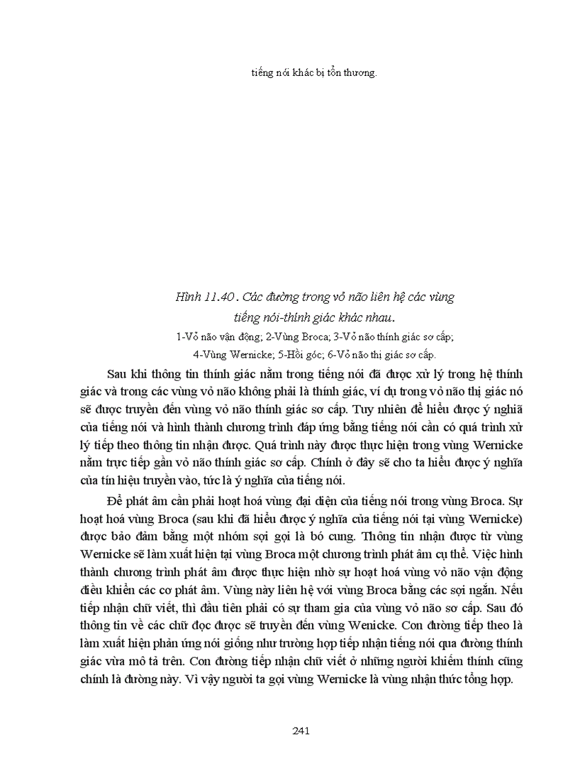 image for page Bài giảng sinh lý hệ thần kinh trung ương