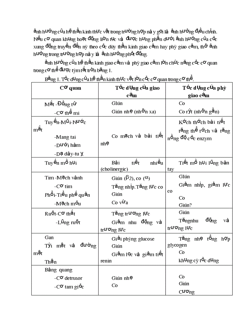 Bài giảng sinh lý hệ thần kinh thực vật