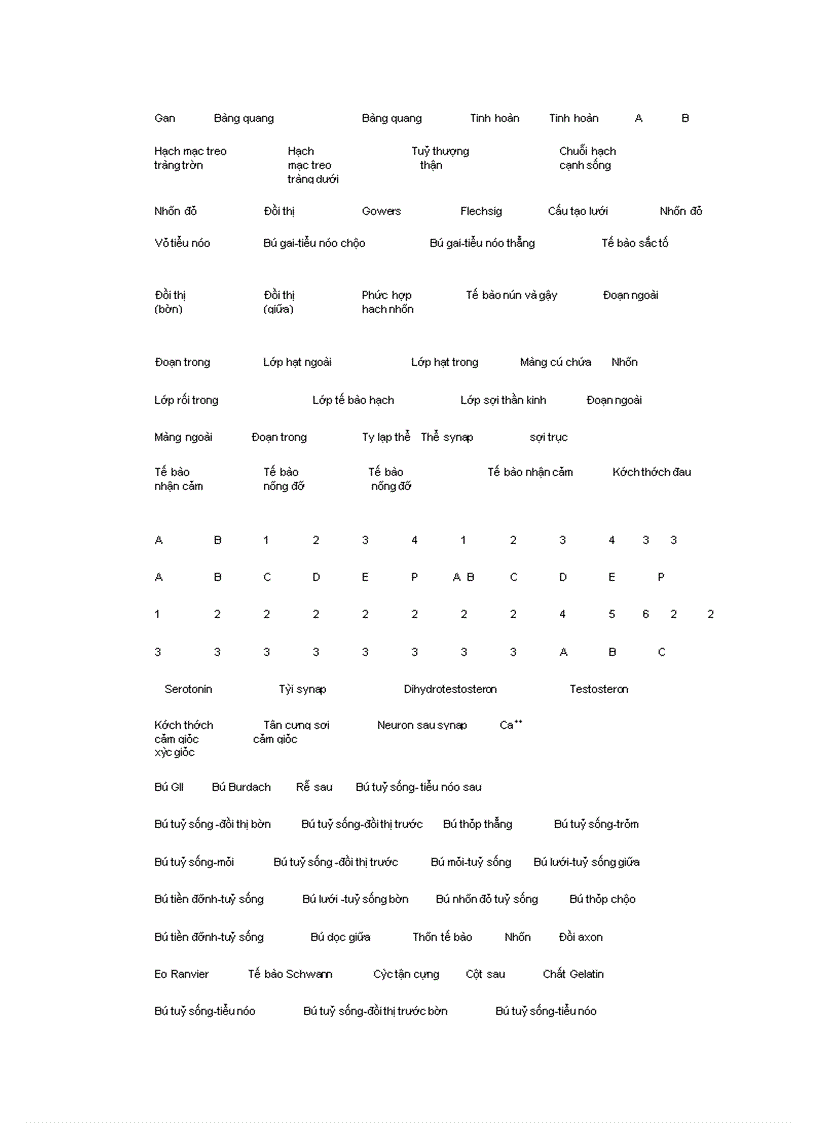 image for page Bài giảng sinh lý hệ thần kinh thực vật