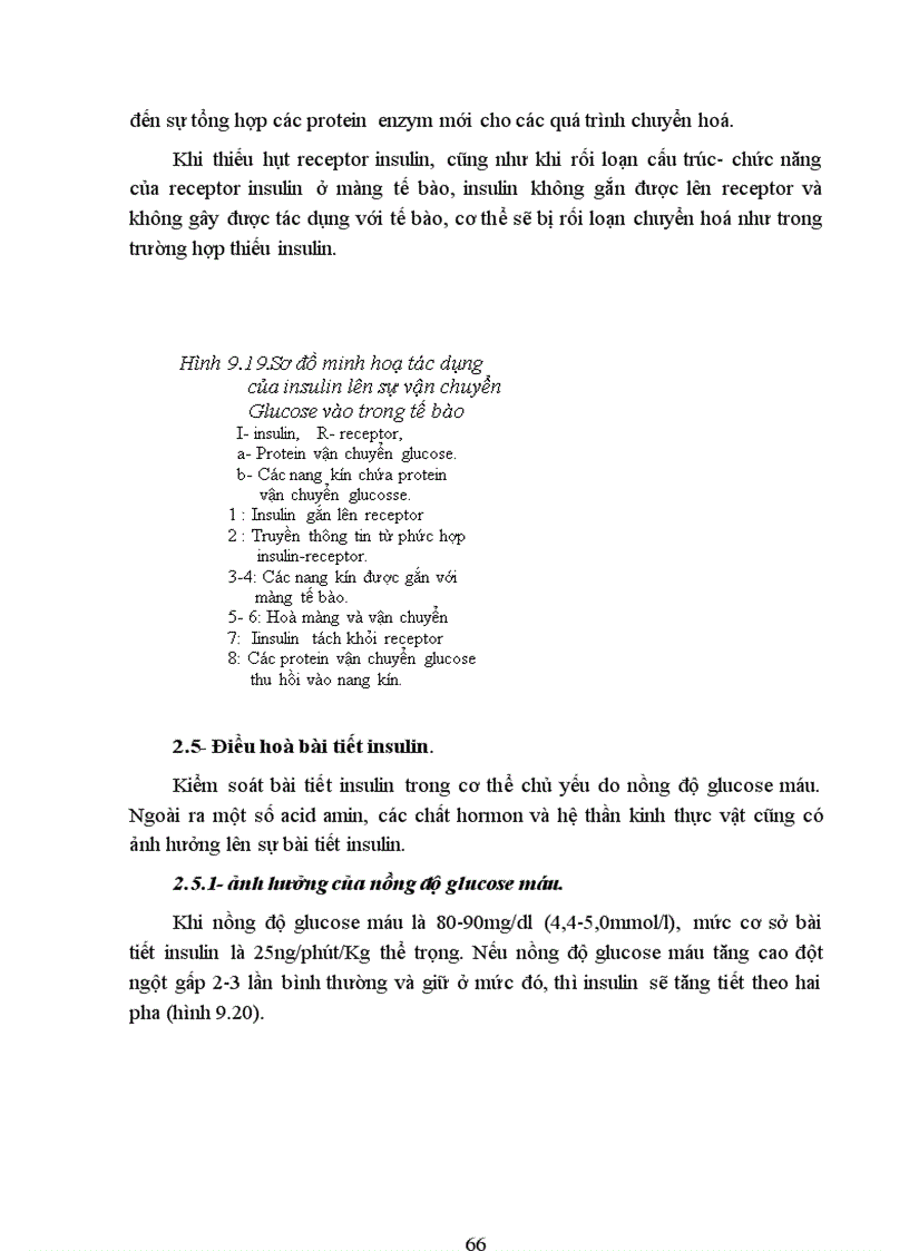 image for page Bài giảng Chức năng tuyến tuỵ nội tiết