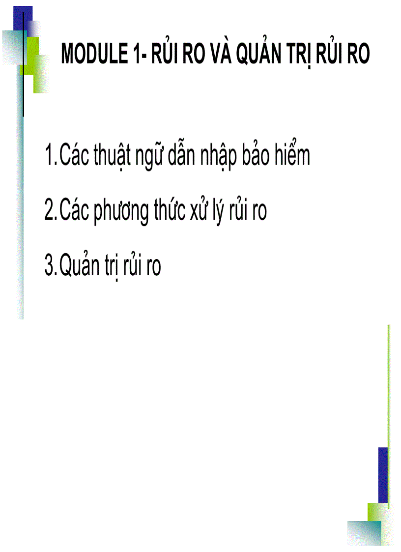 Nguyên lý và thực hành bảo hiểm Rủi ro