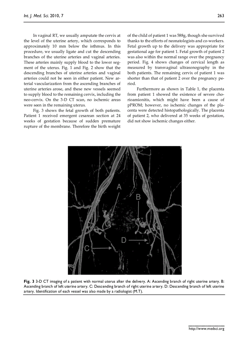 image for page Báo cáo y học Changes of uterine blood flow after vaginal radical trachelectomy VRT in patients with early stage uterine invasive cervical cancer