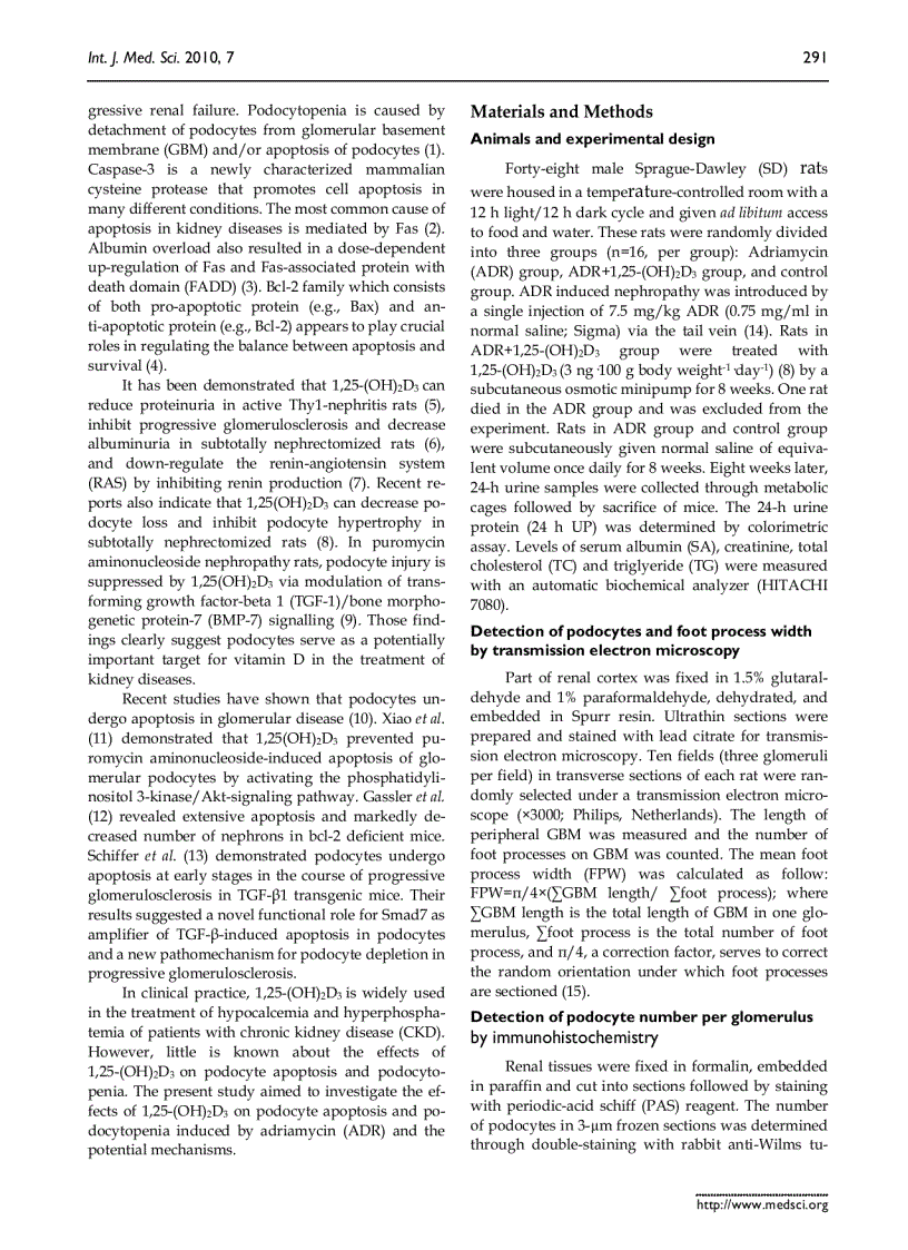image for page Báo cáo y học 1 25 dihydroxyvitamin D3 decreases adriamycin induced podocyte apoptosis and loss