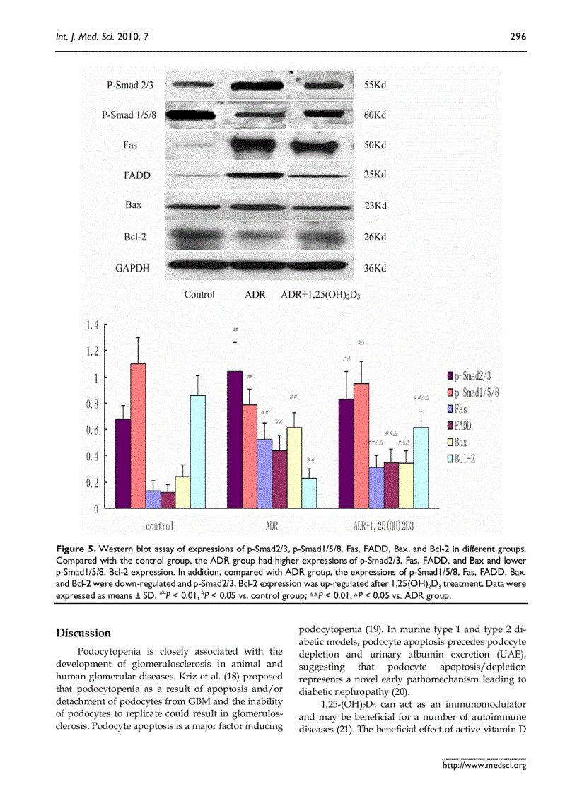 image for page Báo cáo y học 1 25 dihydroxyvitamin D3 decreases adriamycin induced podocyte apoptosis and loss