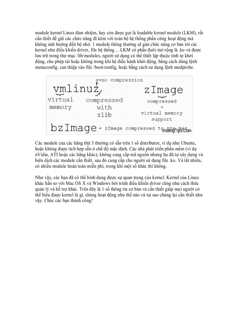 image for page Tìm hiểu thêm về Linux Kernel và những chức năng chính của chúng