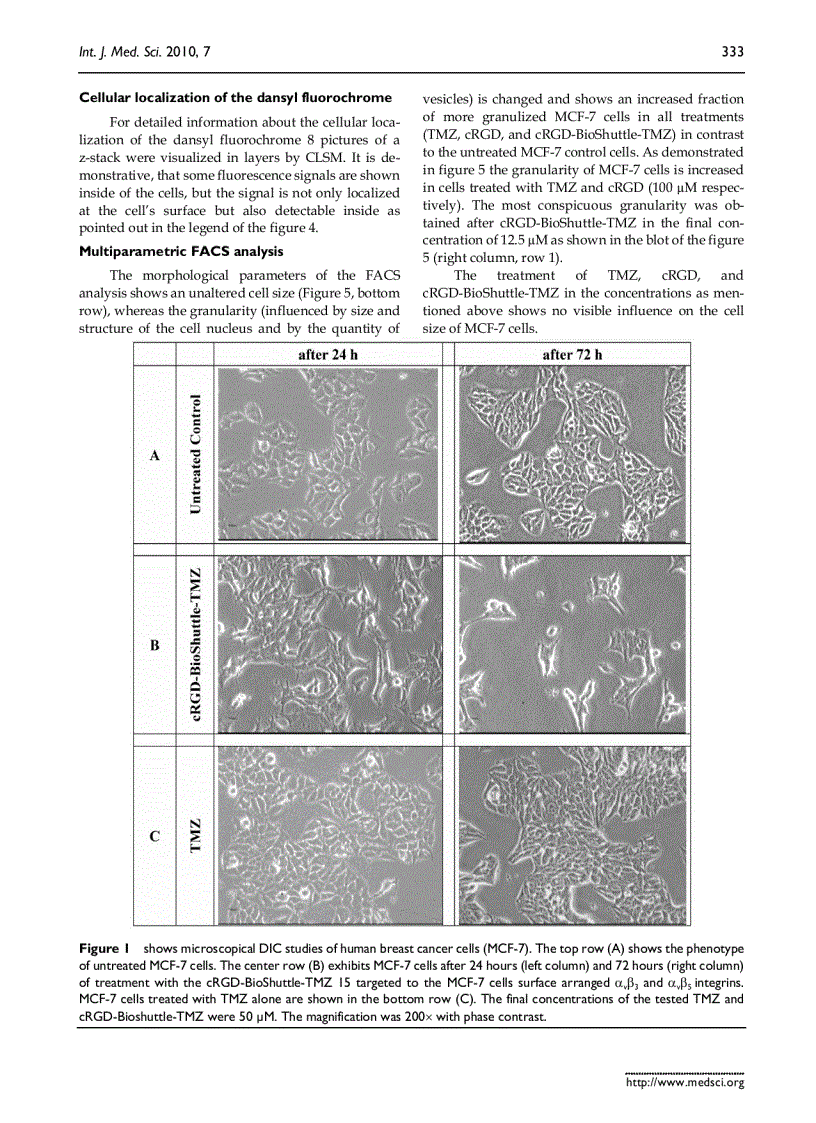 image for page Báo cáo y học A cyclic RGD BioShuttle functionalized with TMZ by DARinv Click Chemistry targeted to αvβ3 integrin for therapy