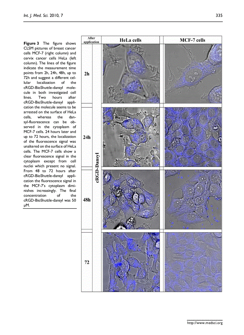 image for page Báo cáo y học A cyclic RGD BioShuttle functionalized with TMZ by DARinv Click Chemistry targeted to αvβ3 integrin for therapy