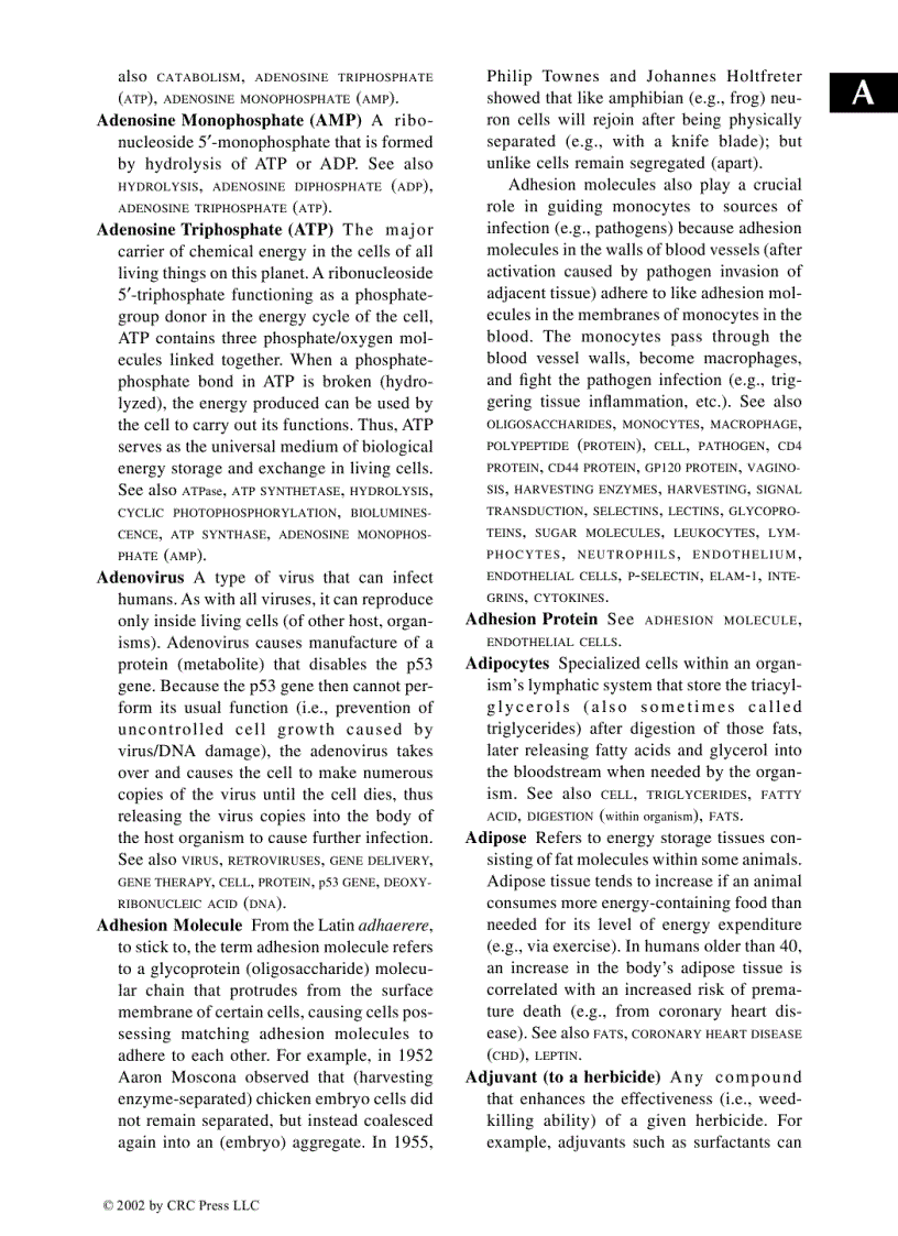 image for page Glossary of biotechnology terms