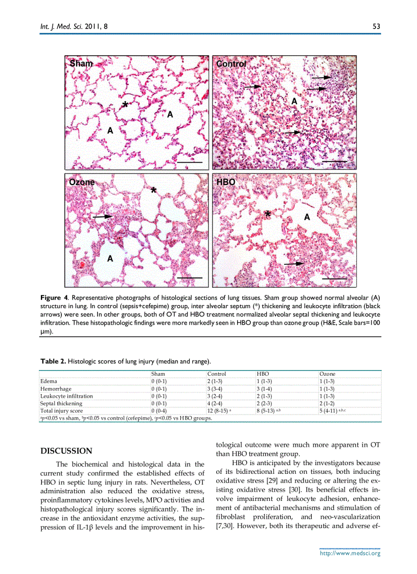 Báo cáo y học Ozone Therapy and Hyperbaric Oxygen Treatment in Lung Injury in Septic Rats