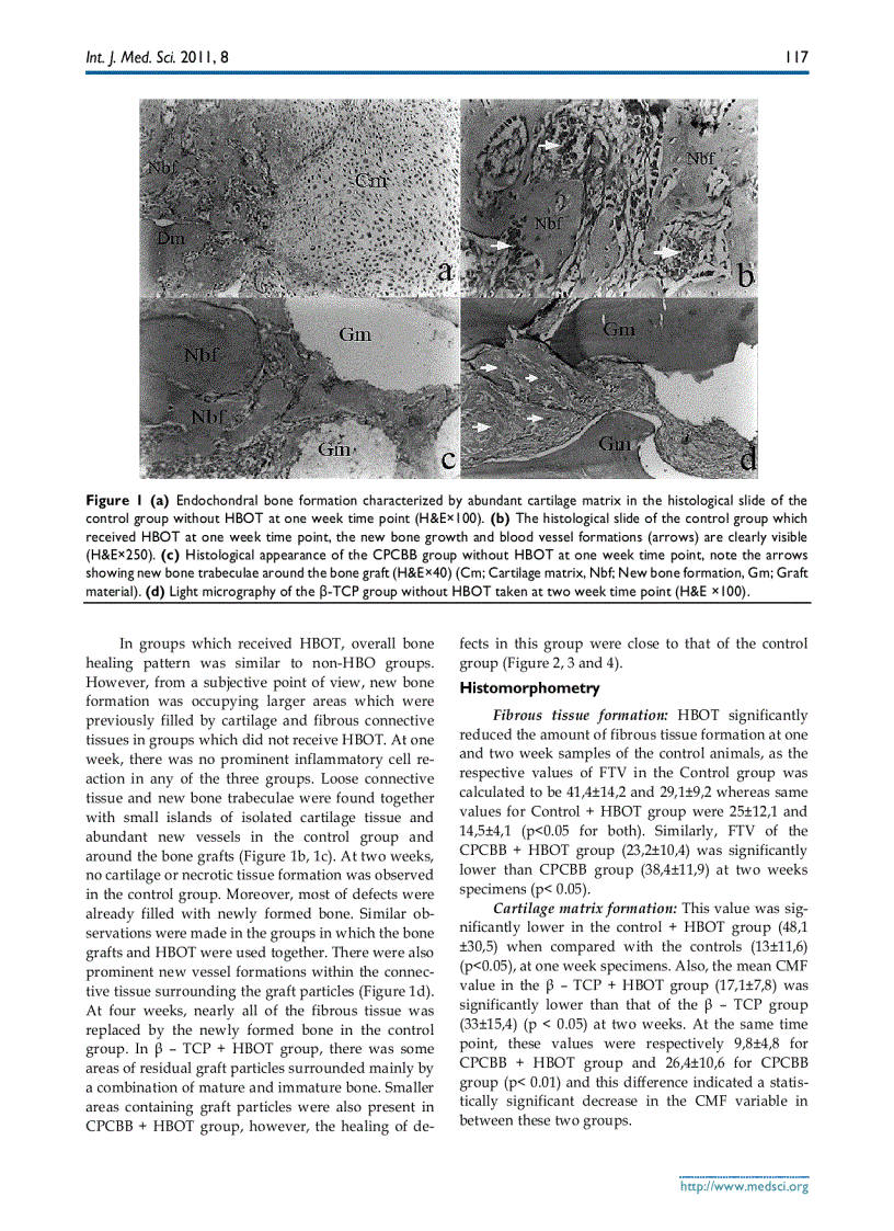 image for page Báo cáo y học The Influence of Hyperbaric Oxygen Treatment on the Healing of Experimental Defects Filled with Different Bone Graft Substitutes