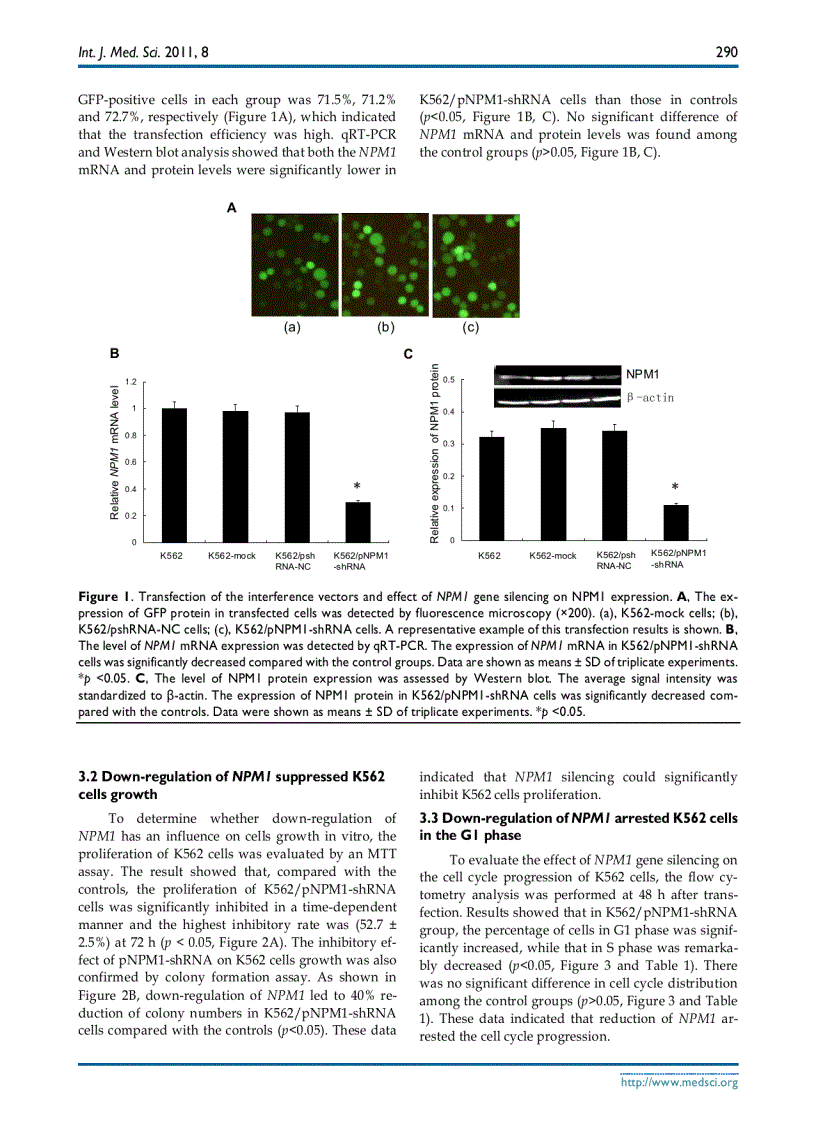 image for page Báo cáo y học Knockdown of NPM1 by RNA Interference Inhibits Cells Proliferation and Induces Apoptosis in Leukemic Cell Line