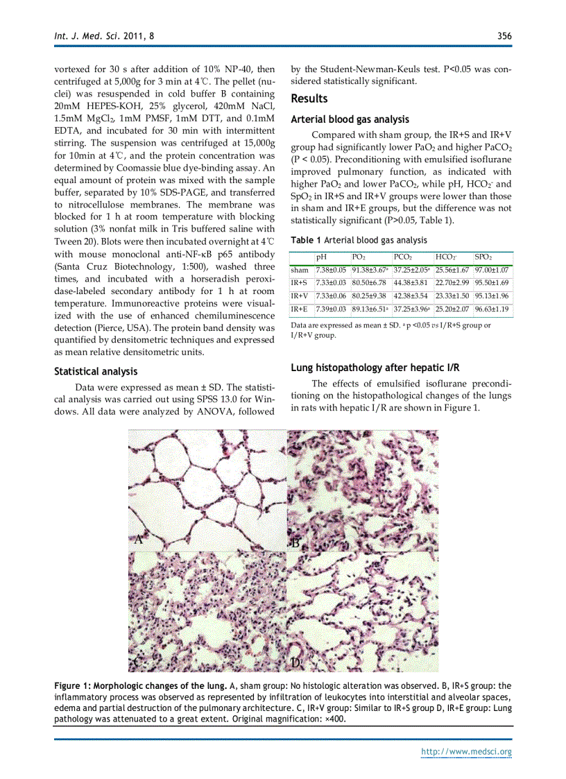 image for page Báo cáo y học Emulsified Isoflurane Preconditioning Reduces Lung Injury Induced By Hepatic Ischemia Reperfusion in Rats