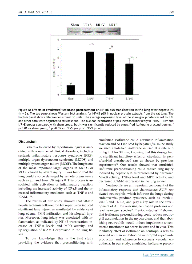 image for page Báo cáo y học Emulsified Isoflurane Preconditioning Reduces Lung Injury Induced By Hepatic Ischemia Reperfusion in Rats