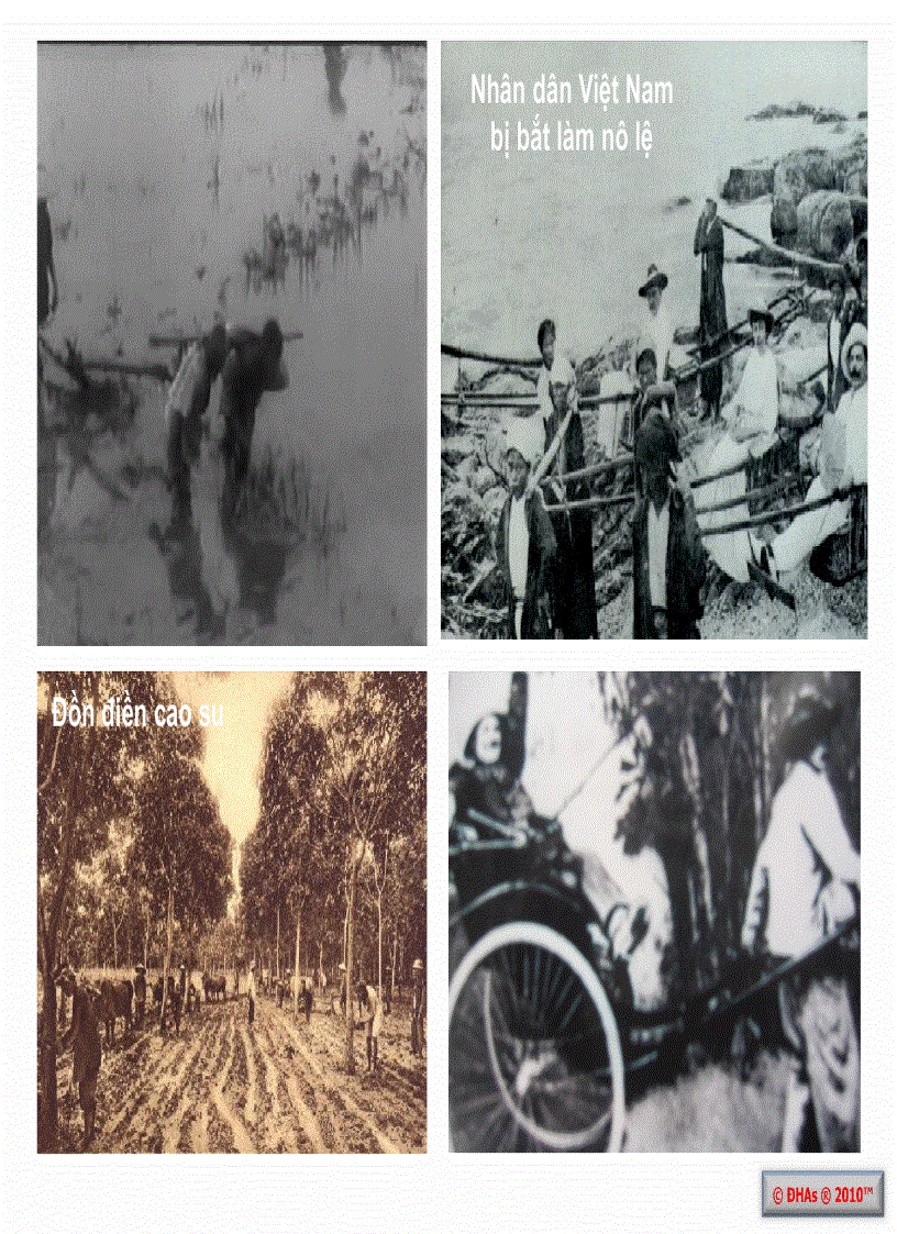 image for page Giáo trình môn Đường lối CM ĐCS Việt Nam Lịch sử Đảng