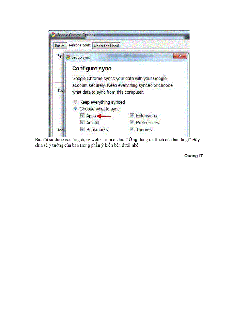 image for page HĐH Chrome Netbook Chrome Store Web Chrome