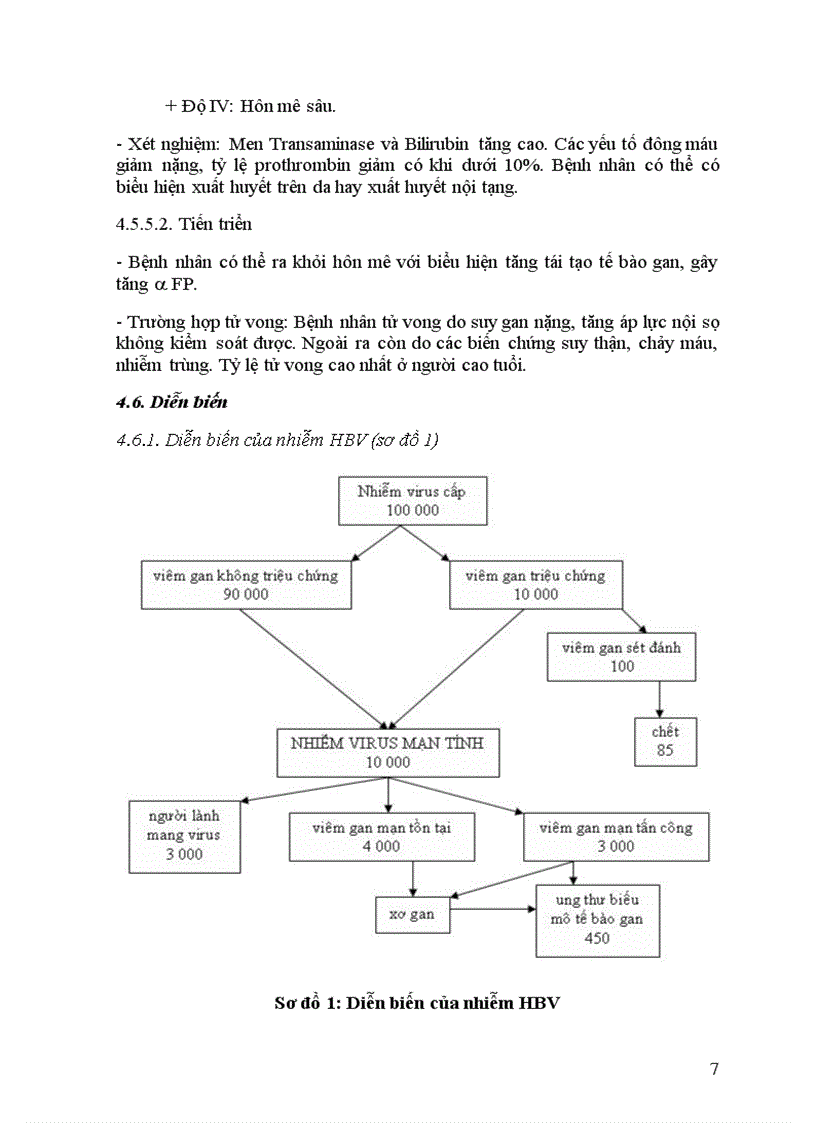 image for page Bài giảng Viêm gan virut