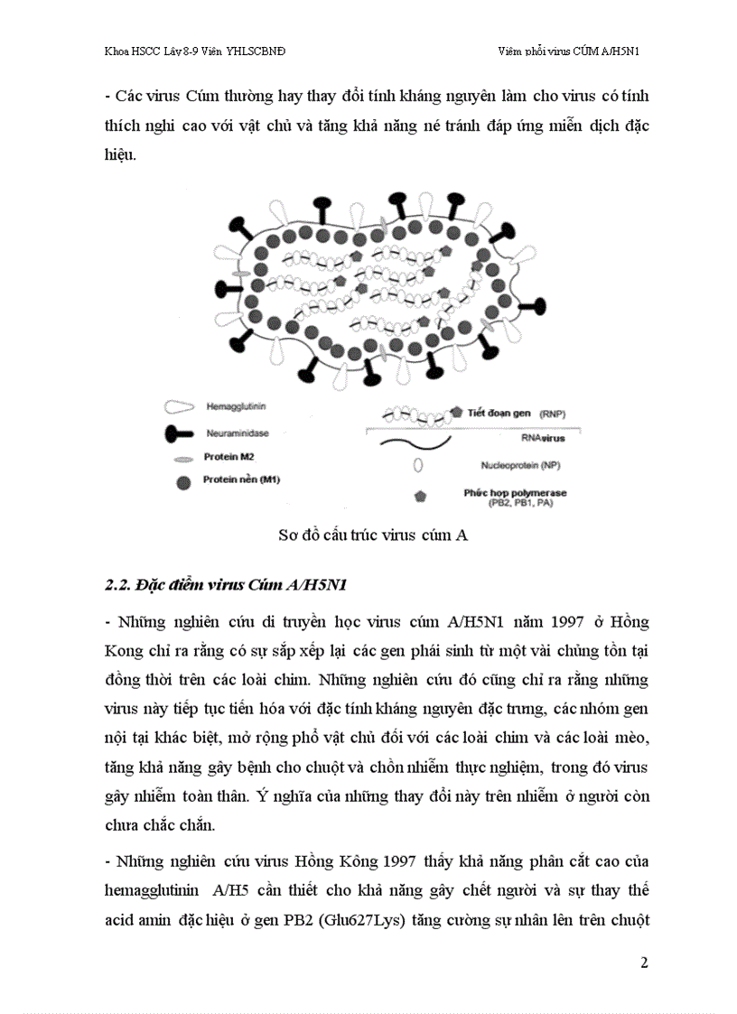 image for page Bài giảng Viêm phổi virus cúm a h5n1