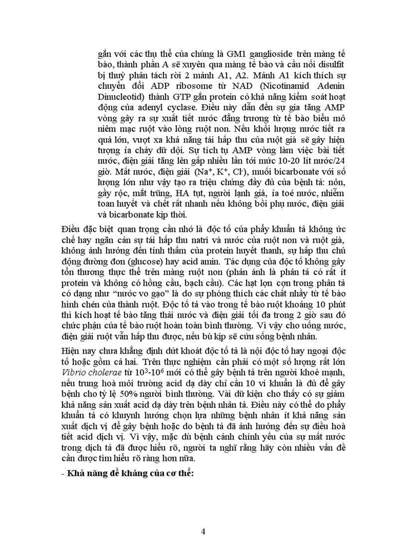 image for page Bài giảng Bệnh tả