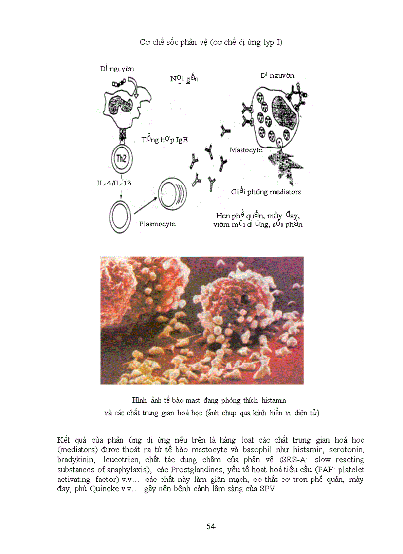 image for page Bài giảng Sốc phản vệ
