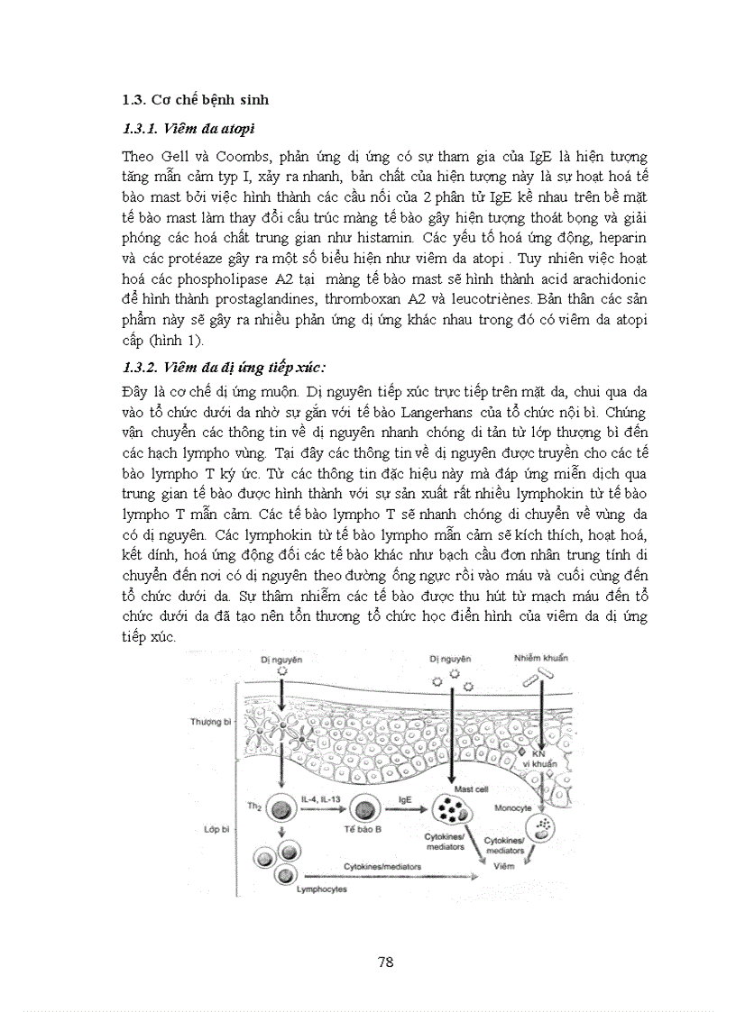 image for page Viêm da atopi và viêm da dị ứng tiếp xúc