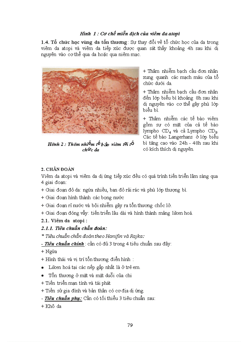 image for page Viêm da atopi và viêm da dị ứng tiếp xúc