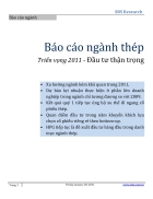 Báo cáo ngành thép Triển vọng 2011 Đầu tư thận trọng