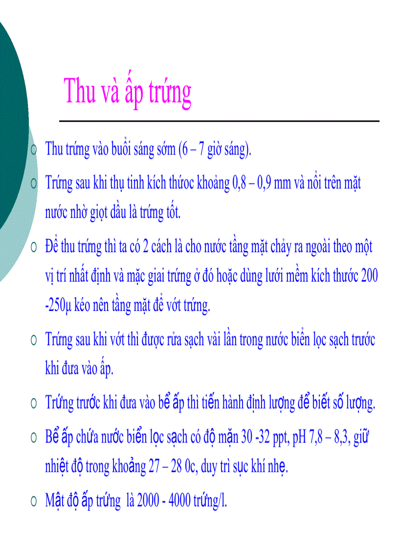image for page Kỹ thuật sản xuất giống Cá Chẽm
