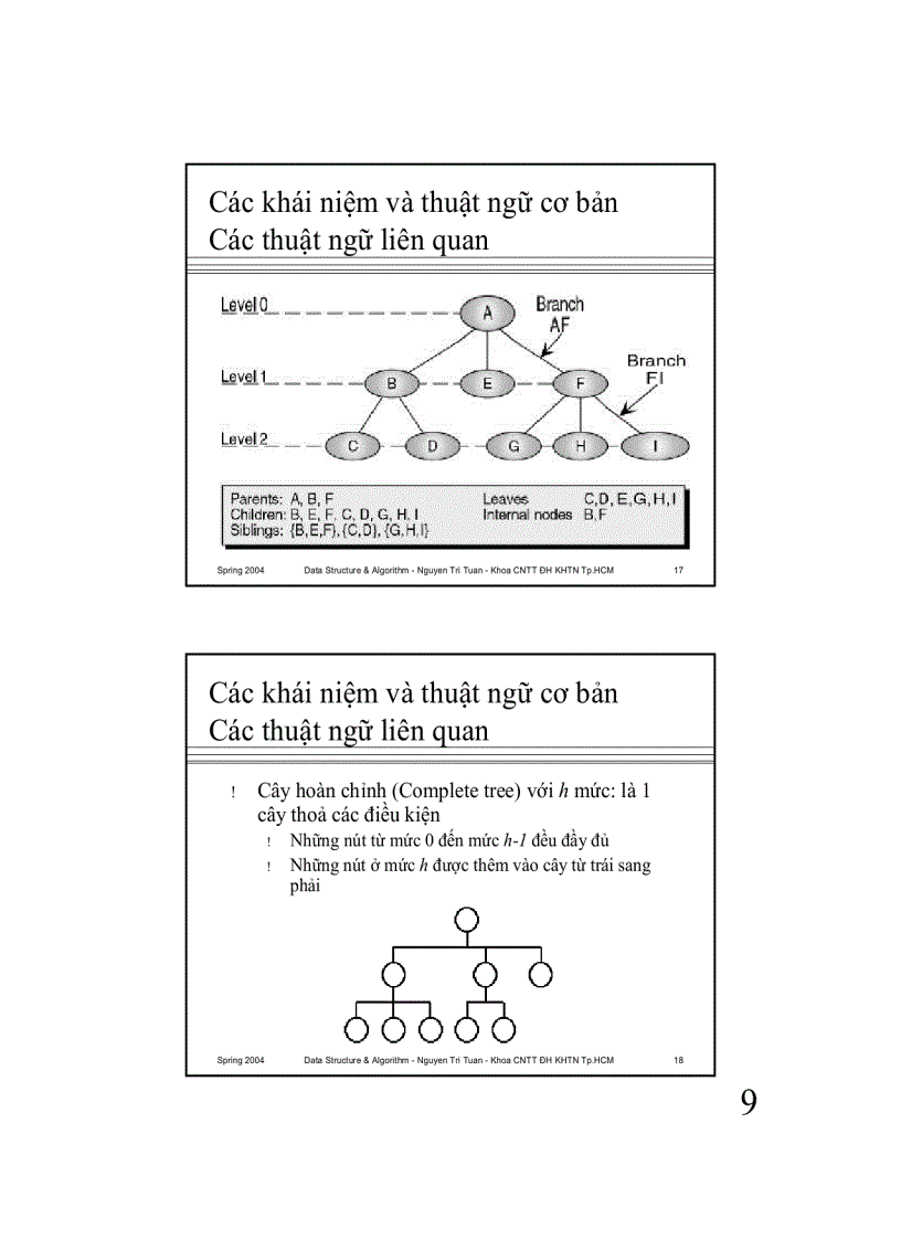 image for page Cấu trúc cây Trees