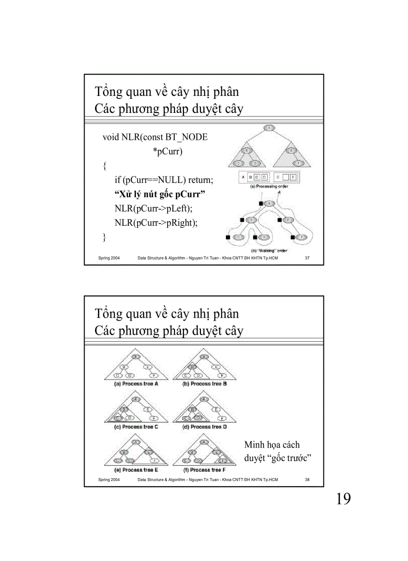 image for page Cấu trúc cây Trees
