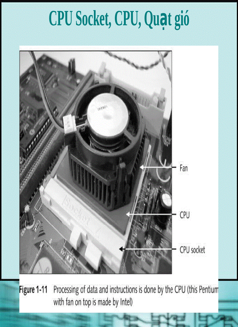 image for page Chương 1 Giới thiệu về Phần cứng của máy tính PC