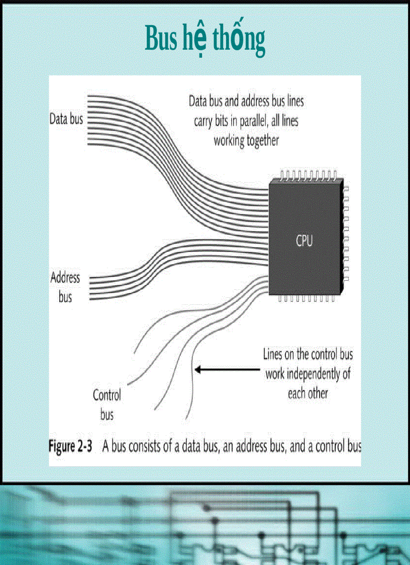 image for page Chương 2 Giới thiệu Phần mềm của PC